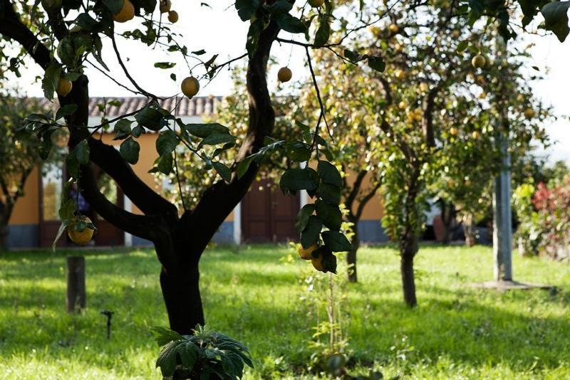 La Terra Del Mezzo Βίλα Riposto Δωμάτιο φωτογραφία